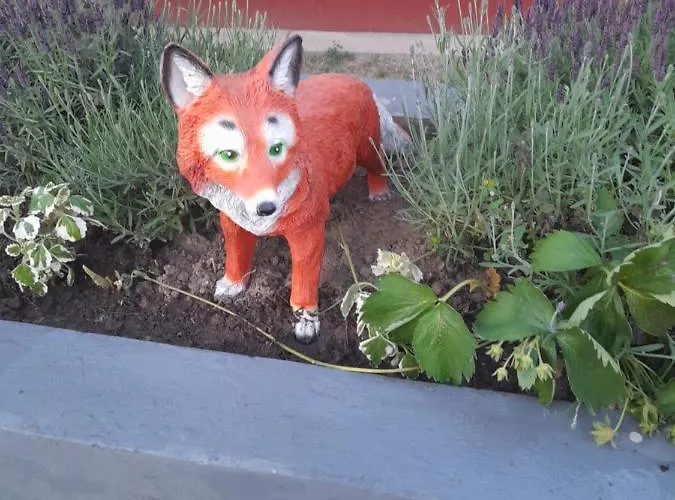 شقة Fox *